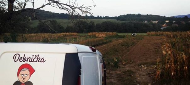 Farmár Vlado