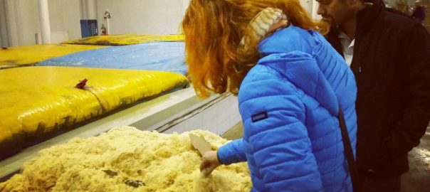 Kvasená kapusta, aká je najlepšia