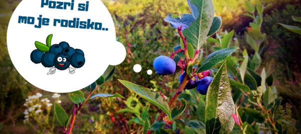 #ČučoriedkováMánia